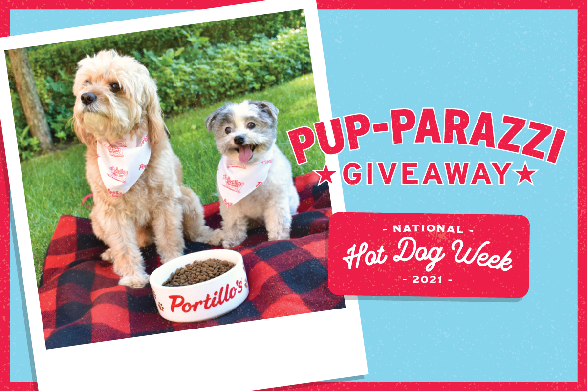 HDW21_HDW21_WebArticle_Pupparazzi_Final