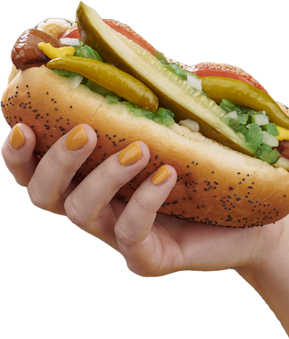 Hand holding chicago style garden dog