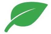 cartoon leaf