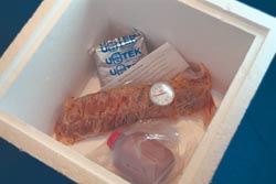 ribsheating1