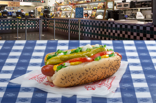 Chicago Style Hot Dog